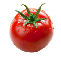 Tomato isolated against transparent background png