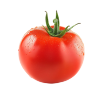 Tomato isolated against transparent background png