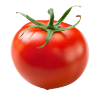 Tomato isolated against transparent background png