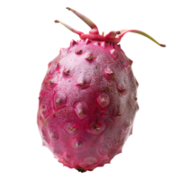 Ripe pitahaya fruit isolated on a transparent background png
