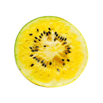 Gelb Wassermelone isoliert gegen transparent Hintergrund png