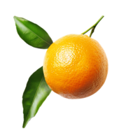 Studio shot of fresh natural orange isolated on a transparent background png