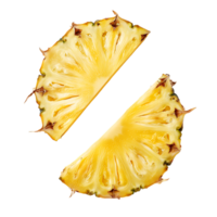 Two slices of pineapple isolated on a transparent background png