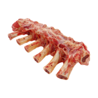 Bone with Meat on Transparent Background png
