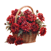 Dahlia pinnata Plant in a Basket on Transparent Background png