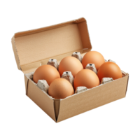 Eggs in a Box on Transparent Background png