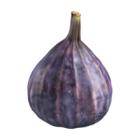 Fresh Figs on Transparent Background png