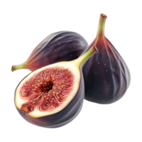 Fresh Figs on Transparent Background png