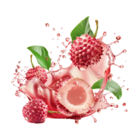 Lychee Splash on Transparent Background png