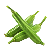 Zucchini Summer squash on Transparent Background png