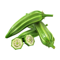 Zucchini Summer squash on Transparent Background png