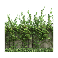 Wooden Fence with Grass on Transparent Background png