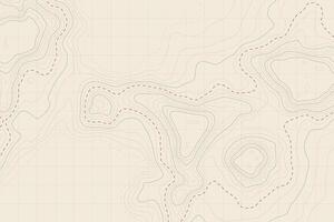 Subtle and elegant topographic lines on a light background, highlighting landforms and terrain details, perfect for cartographic and decor applications vector