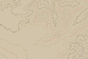 Topographic map background with wavy contour lines in a monochrome style, illustrating geographic terrain and land relief, ideal for diagrams and wallpaper vector