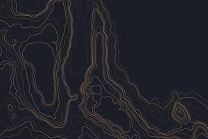 Modern artistic topographic map with luminous contour lines, providing a sophisticated backdrop for design and mapping projects vector