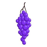 Bunch of juicy grapes. Cartoon flat illustration of ripe berries vector