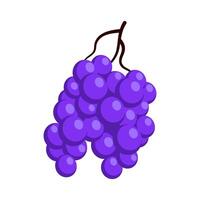Bunch of juicy grapes. Cartoon flat illustration of ripe berries vector