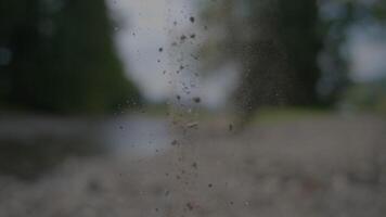 A serene nature path covered in dust particles, with focus on the details in the blur video