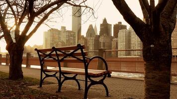 Peaceful park bench in urban setting with city skyline view during serene fall sunset video