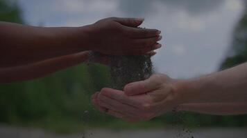 Unity and Diversity are beautifully represented by hands in a natural environment video