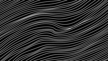 Lines move slowly in waves on black background. Motion. Thin lines move in waves. Background of stream of curved wavy threads video