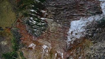 Close-up of clean river stream. Creative. Streams and splashes of water in forest river. Beautiful clean stream of natural river or spring video