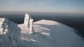 Winter mountain view from a bird's-eye view. Clip.Big mountains under snow and ice on a snowy mountain and a green forest with tall trees is visible below. video