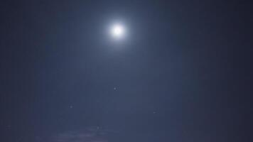 Bottom view of the night sky with shining moon and a flying bird. Action. Dark natural background with dark sky. video