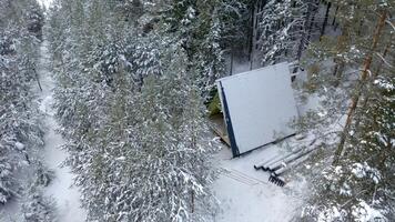 Aerial view of coniferous winter forest and a small glamp house. Clip. Flying above frozen trees and snow covered ground of dense forest and a small cozy house for glamping. video
