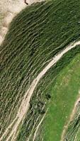 Aerial top view view of a mountain in the national park in Slovenia at spring. Action. Flying above a high hill with a one slope covered by green grass and narrow paths and another by stones and sand. video