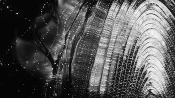Fiber Optic Light Patterns in Black and White create stunning visual effects with a futuristic vibe. Design video