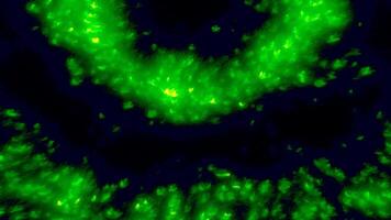 Black background with bright green rings. Motion. Blurring in different directions are two rings made in abstraction. video