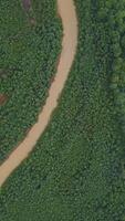 A huge dirty river in the forest. The view from the drone. Clip. A huge curving dirty river with petroleum products that flows next to a huge green forest and several small houses for people are video