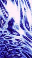 Abstract water paint diffusion with liquid soap, seamless loop. Motion. A chemical reaction with ink mixture creating colorful surreal shapes. video