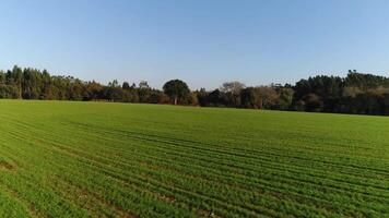 Green Fields and Blue Sky video