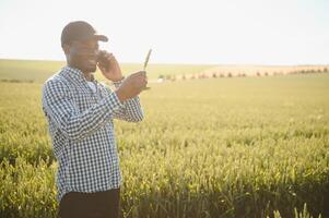 Farmer is standing in his growing wheat field. He is satisfied after successful sowing photo