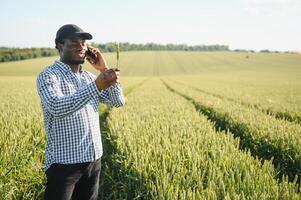 Farmer is standing in his growing wheat field. He is satisfied after successful sowing photo
