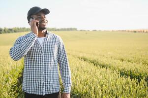 An African farmer is talking on the phone while standing in a wheat field. The concept of agrarian business photo