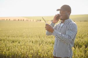 An African farmer is talking on the phone while standing in a wheat field. The concept of agrarian business photo