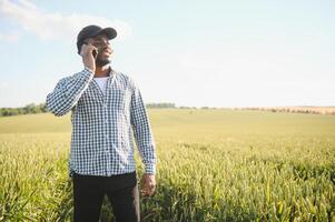 An African farmer is talking on the phone while standing in a wheat field. The concept of agrarian business photo