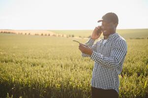 An African farmer is talking on the phone while standing in a wheat field. The concept of agrarian business photo