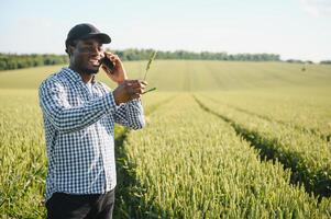 An African farmer is talking on the phone while standing in a wheat field. The concept of agrarian business photo