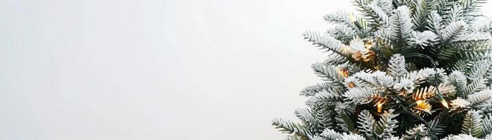 A high-key image of a tall Christmas tree, the garland lights intermingled with fine snow, set against a stark white background, broad space on the left for promotional text. photo