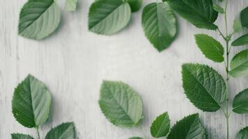 Fresh Green Leaves on Soft Fabric Background photo