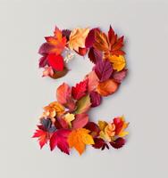 Colorful Autumn Leaves Forming The Number Two On A White Background photo
