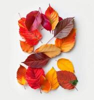 Colorful Autumn Leaves Forming The Number Two On A White Background photo