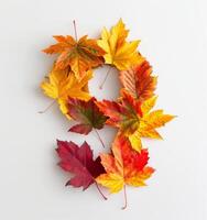 Autumn Leaves Arranged in a Number Nine on White Background photo