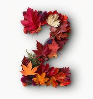 Colorful Autumn Leaves Forming The Number Two On A White Background photo
