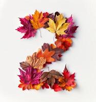 Colorful Autumn Leaves Forming The Number Two On A White Background photo