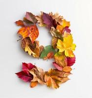 Autumn Leaves Arranged in a Number Nine on White Background photo